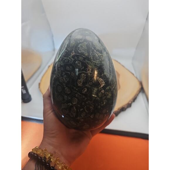9.1LB Natural Kambaba Jasper Quartz Crystal egg Mineral specimen Healing - Picture 10 of 11